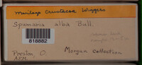 Image Associated With the Occurence